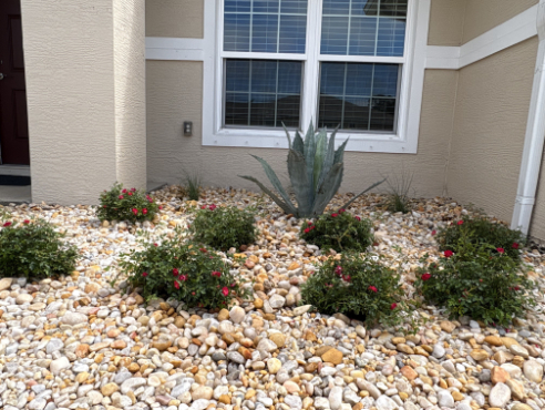 Landscaping