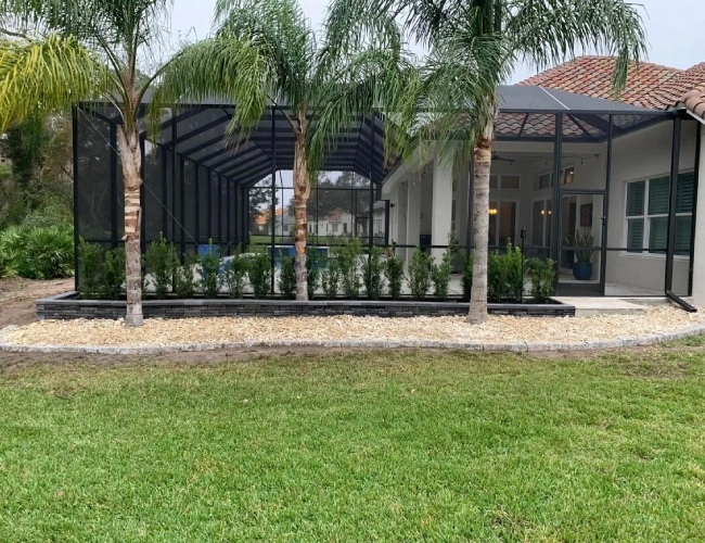 Palm Tree Installation